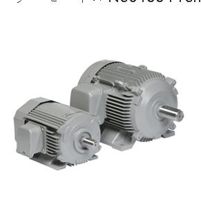 日本日立（lì）電機型（xíng）號：TFOA-LKK-22KW-4P-200V...